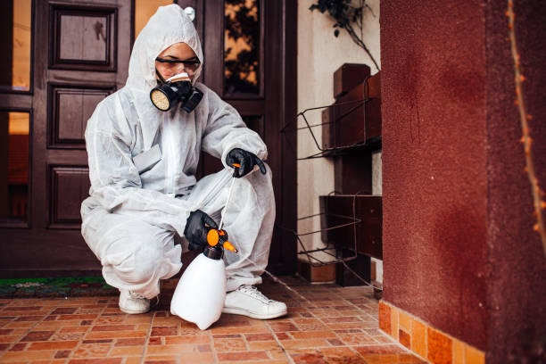 Reliable Cockroach Control contractor in Spring City, UT by Nex Pest Control